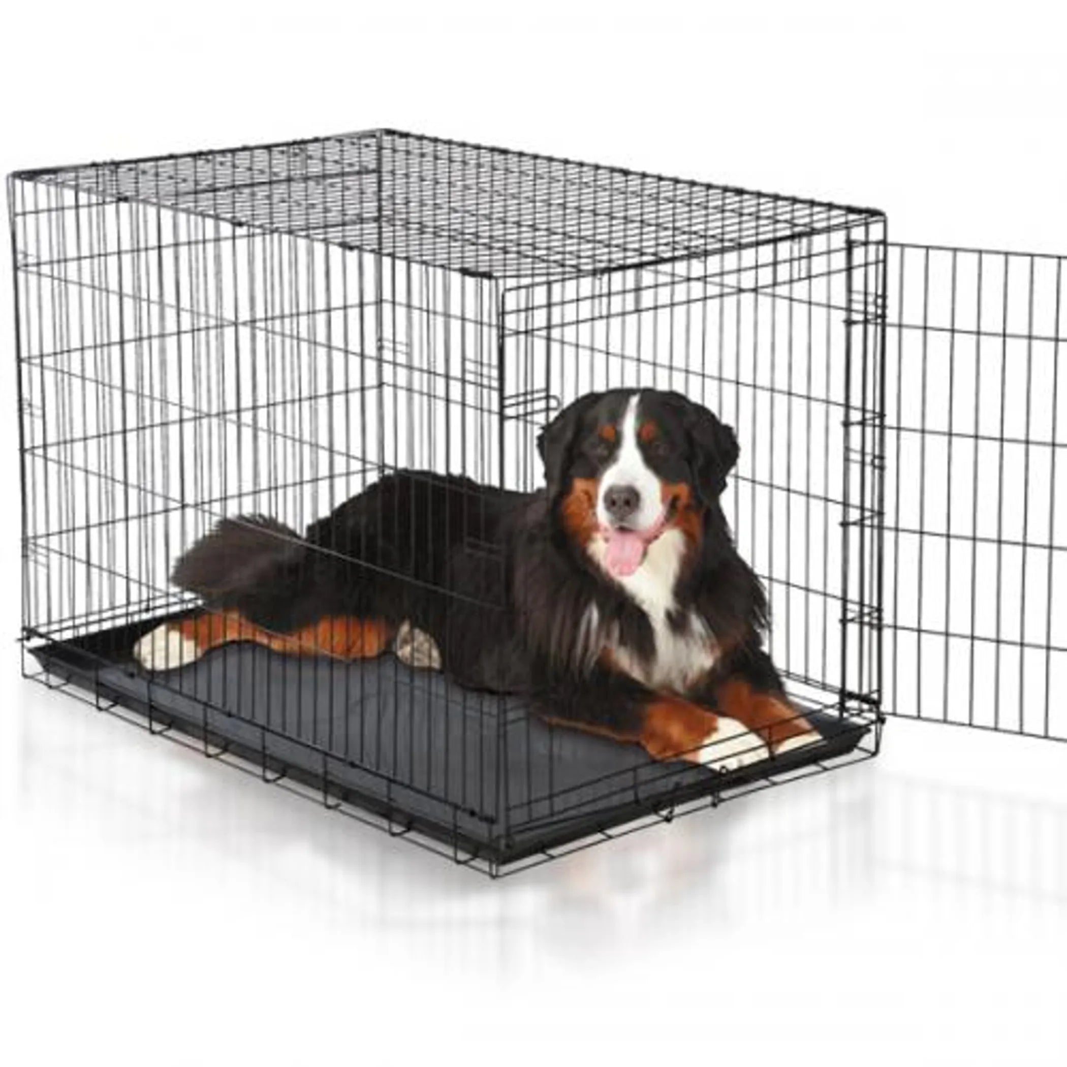 Why the Easy Crate is a Must-Have for Every Dog Owner
